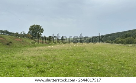 Panoramic view of the Scottish Borders' rolling hills, showcasing lush green pastures, grazing livestock, and traditional dry stone walls under a vibrant summer sky.