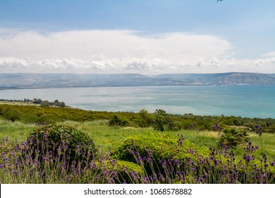 Panoramic view of the sea of Galilee the kinneret lake from the Mount of Beatitudes, Israel