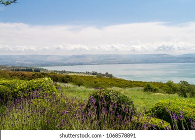 Panoramic view of the sea of Galilee the kinneret lake from the Mount of Beatitudes, Israel
