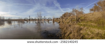 Similar – Image, Stock Photo bare tree reflected in blue lime lake, former limestone quarry