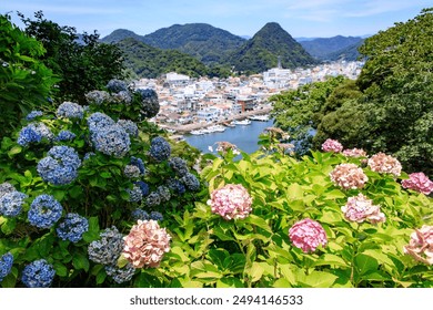 Panoramic View of Shimoda Town with Vibrant Hydrangeas in Foreground - Powered by Shutterstock