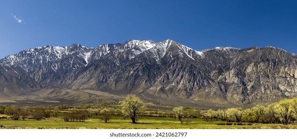 Panoramic view of Sierra mountains
and spring bloom in the middle of Owens valley California