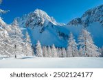 Panoramic view of snow capped mountain peaks of Karawanks mountain range in Bärental valley, Carinthia, Austria. Frozen trees in winter wonderland in Austrian Alps. Ski touring in untouched nature