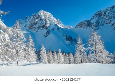 Panoramic view of snow capped mountain peaks of Karawanks mountain range in Bärental valley, Carinthia, Austria. Frozen trees in winter wonderland in Austrian Alps. Ski touring in untouched nature - Powered by Shutterstock