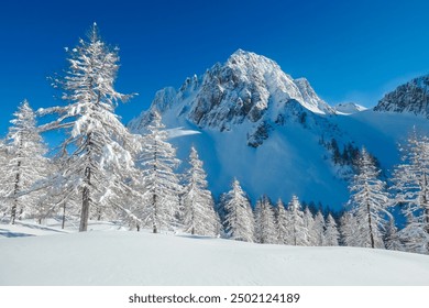 Panoramic view of snow capped mountain peaks of Karawanks mountain range in Bärental valley, Carinthia, Austria. Frozen trees in winter wonderland in Austrian Alps. Ski touring in untouched nature - Powered by Shutterstock