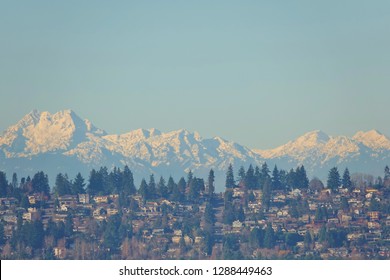 Panoramic view of the snow covered Olympic Mountain range as a beautiful backdrop under clear blue January sky with a hillside Seattle neighborhood filled with houses & evergreen trees in foreground.