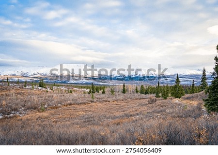 Panoramic View of Snow-Capped Alaska Range Over Vast Tundra Valley in Denali National Park