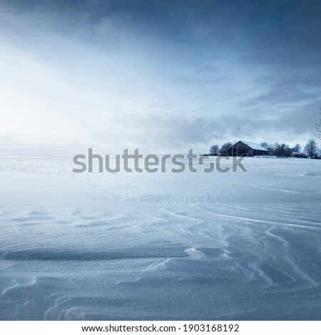 Panoramic view of the snow-covered field after a blizzard at sunset. Human tracks in a fresh snow. Old rustic wooden house in the background. Ice desert. Global warming theme. Lapland, Finland
