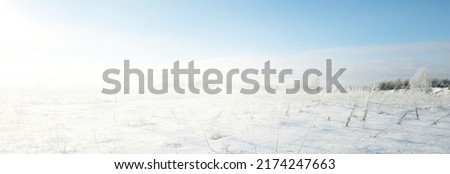 Panoramic view of the snow-covered field after a blizzard. Bushes close-up. Midday sun. Clear blue sky. Ice desert. Winter wonderland. Christmas vacations, global warming theme. Lapland, Finland