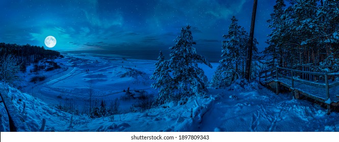 Panoramic view of snowy beach with dunes and Baltic sea surrounded by conifer trees forest in Baltic in a moonlight at starry night. View of coast against night sky with stars and full moon. - Powered by Shutterstock