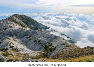 Panoramic view of a sunlit mountain range with rolling hills and lush greenery above a sea of clouds - Powered by Shutterstock