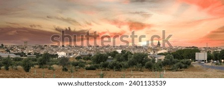 Panoramic view at sunset of Tarazona de la Mancha, La Mancha winegrowing town in the province of Albacete, Castilla La Mancha, Spain Foto stock © 