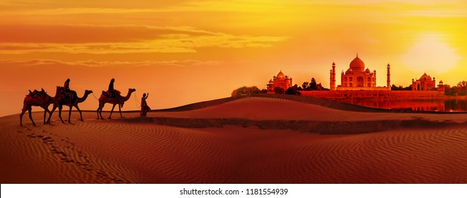 Panoramic view of Taj Mahal during sunset. Camel caravan going through the desert. India