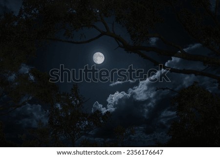 Panoramic view of  terrific dark blue sky and big white moon
