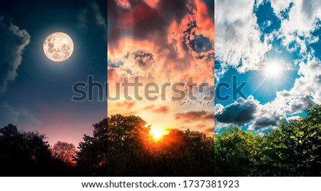 panoramic view of three sky, day, sunset and night in the forest