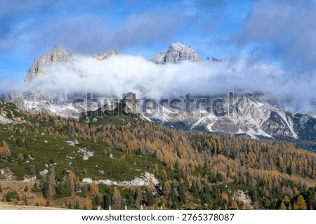 Panoramic view of the Tofane mountain group and golden larch forest under a cloudy sky in autumn, Dolomites, Italian Alps, Italy.                            