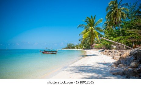 Panoramic view of tropical beach with coconut palm trees. kohphangan, Thailand