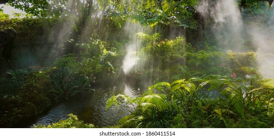 Panoramic view of Tropical jungle with river and sun beam and foggy in the garden