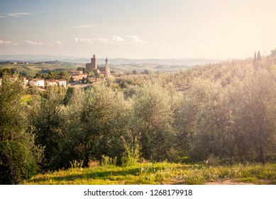 Panoramic View Vinci Town Sunset Tuscany Stock Photo 1268179918 ...