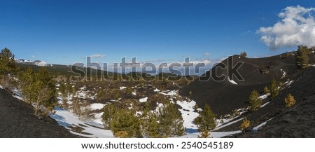 Panoramic view of volcanic landscape of Mount Etna Monti Sartorius with black lava and pine trees and snow during winter time, Catania, Sicily, Italy