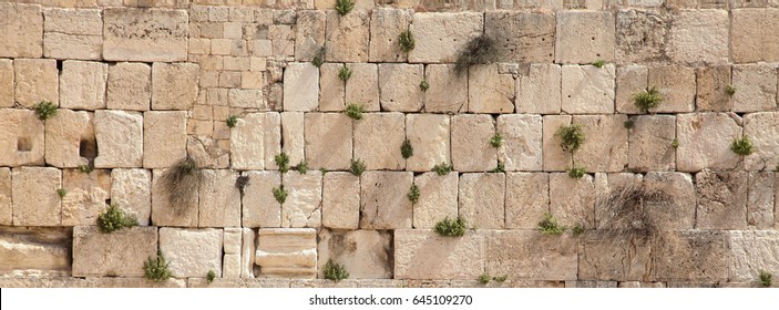 panoramic view of the wailing wall with vegetation - Shutterstock ID 645109270