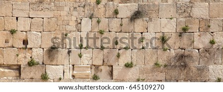 panoramic view of the wailing wall with vegetation