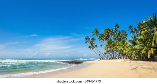 Panoramic view of a wild tropical beach in southern part of Sri Lanka in sunny day.