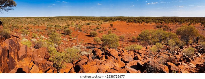 Panoramic view of the wilderness with open forest in the vast expanse of the mid west of the Western Australian outback, Meekatharra area. 
 - Powered by Shutterstock