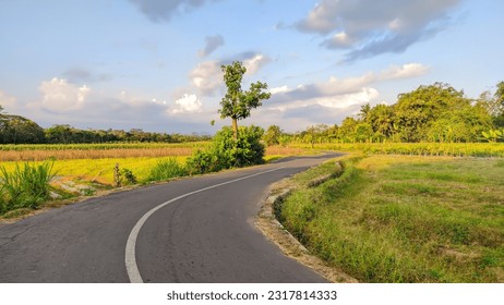 panoramic view of winding asphalt road with rice fields in Indonesia - Powered by Shutterstock