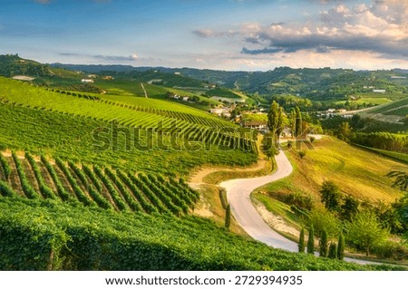 Panoramic view of a winding road through the rolling hills and vineyards of Langhe near Alba. Unesco World Heritage wine region in Piedmont, Italy