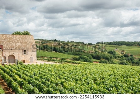 panoramic view of a wine estate in Burgundy. Vineyards and luxurious house in Bourgogne Foto d'archivio © 