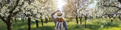 Panoramic View To Woman In Blooming Orchard At Spring. Panorama Of Cherry Orchard. Hiking Woman With Straw Hat And Backpack Enjoying Springtime In Nature