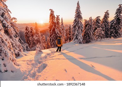 Panoramic view of young man in beautiful winter wonderland scenery in Scandinavia in scenic evening light at sunset with blue sky and clouds in winter, northern Europe. Spruce trees covered by snow
