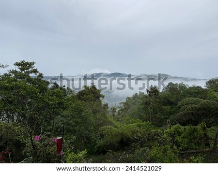 
Panoramic views: Green view and cool climate from the town of La Elvira in the department of Valle del Cauca, Colombia