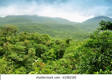 Panoramic Views Of Jungle Mountains In Costa Rica