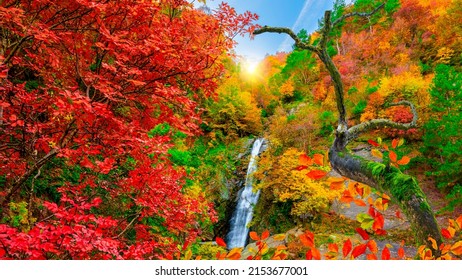 Panoramic waterfall view in nature. colorful waterfall scene in autumn. autumn colors at the waterfall. Autumn landscape in deep forest. colorful autumn scenery. colorful nature scenery in the canyon. - Powered by Shutterstock