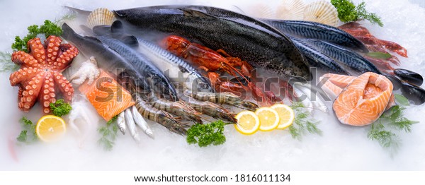 Panoramic web banner crop Top view of variety of fresh\
luxury seafood, Lobster salmon mackerel crayfish prawn octopus\
mussel and scallop, on ice background with icy smoke in seafood\
market. 