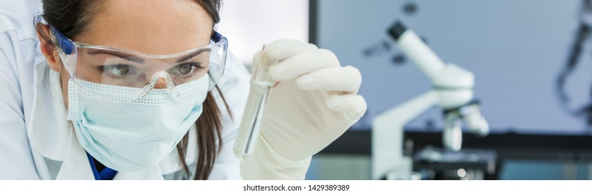 Panoramic web banner female medical or research scientist or doctor using looking at a test tube of clear solution in a lab or laboratory. Header panorama. - Shutterstock ID 1429389389