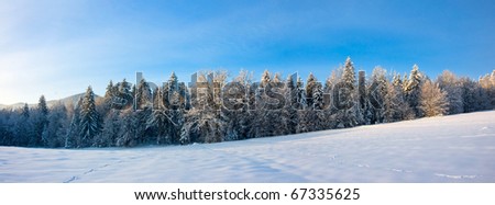Panoramic Winter Landscape XXL