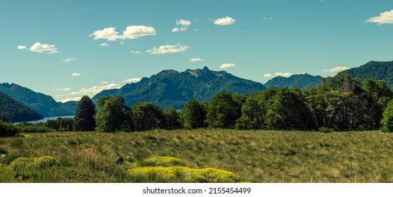 Panoramic Within The Forest View Of Mountain Peaks. Lanín National Park