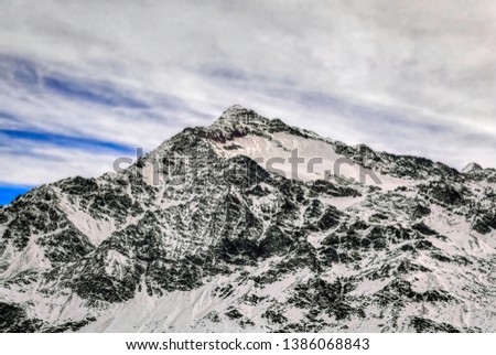 Similar – Image, Stock Photo winter magic Nature