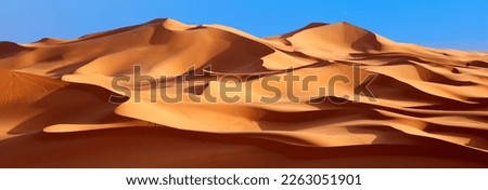 Panormic view of Merzouga desert, Morocco