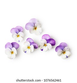 Pansy flowers or spring garden viola tricolor on white background clipping path included. Flower arrangement and floral design. Top view, flat lay