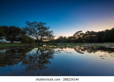 The Pantanal Of Brazil