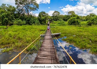 Pantanal In Brazil