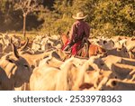 Pantanal cowboy humans economy active working traditional 