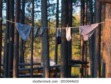pants and socks drying on rop in the forest. Camp daily life. a clothesline is stretched between the pines. washed underwear dries in the sun. life in a tourist camp. panties under the sun.