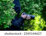Paparazzi photograph a famous person on the sly. A private detective is filming from behind the bushes.