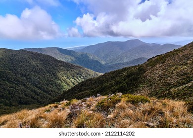 Paparoa National Park, New Zealand - December 25 2020: Foreground Grass Looking Down to the Beach From Paparoa Track - Shutterstock ID 2122114202