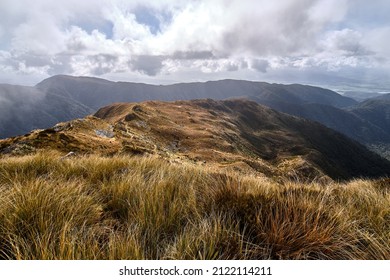 Paparoa National Park, New Zealand - December 25 2020: Looking Down Hill from Croesus Knob - Shutterstock ID 2122114211